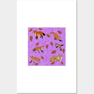 Red Foxes in Purple Posters and Art